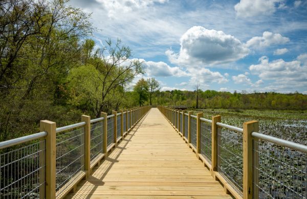 Bridge In A Popular Henrico County VA Park