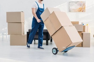 packing expert carrying boxes
